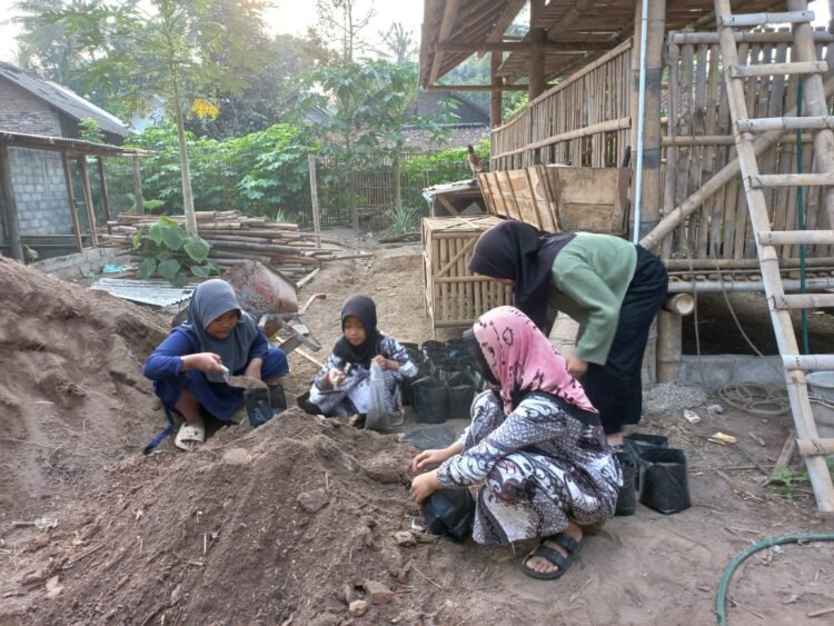 Yasukma Intergrated  farming